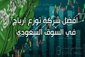 أفضل شركة توزع أرباح في السوق السعودي