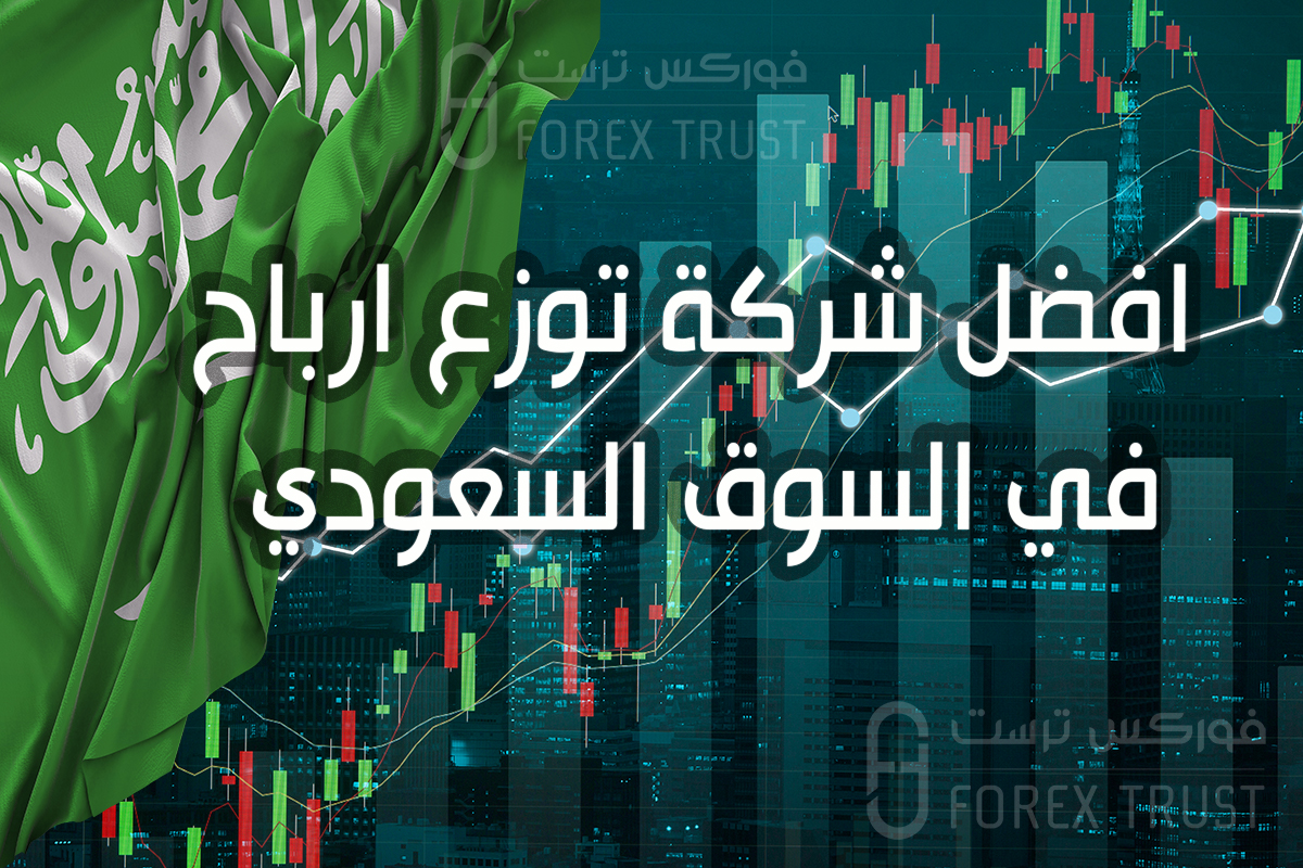 افضل شركة توزع ارباح في السوق السعودي