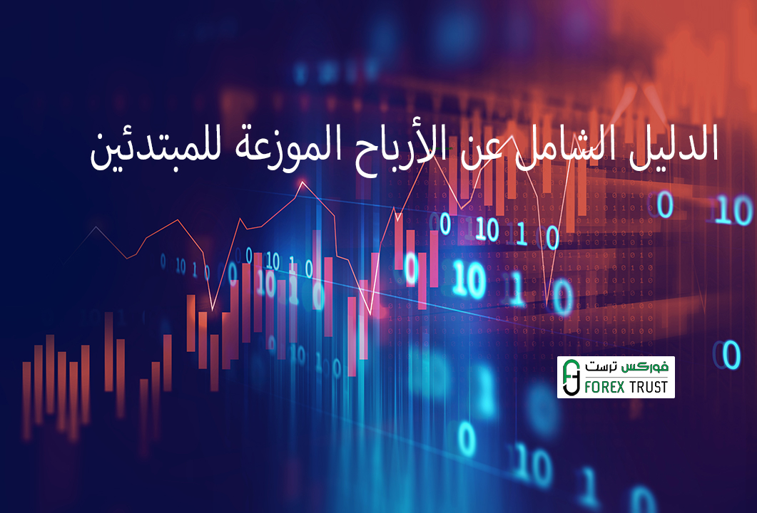 الدليل الشامل عن الأرباح الموزعة للمبتدئين