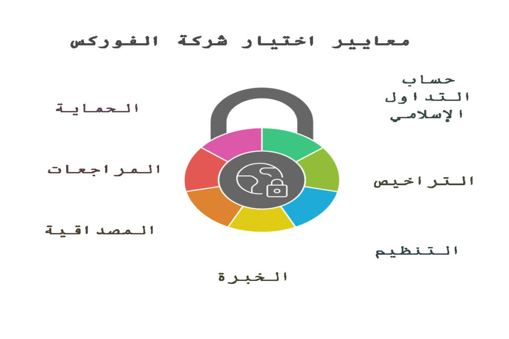 معايير اختيار أفضل شركة تداول فوركس للمبتدئين