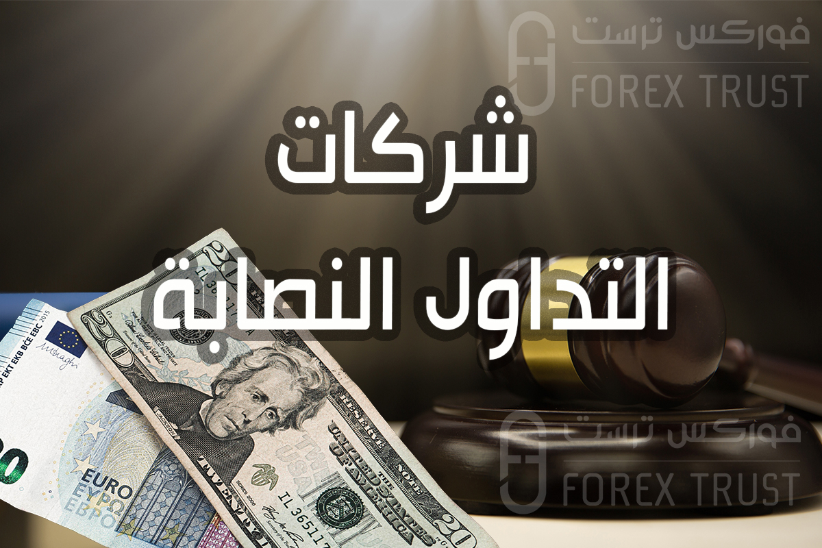 شركات التداول النصابة